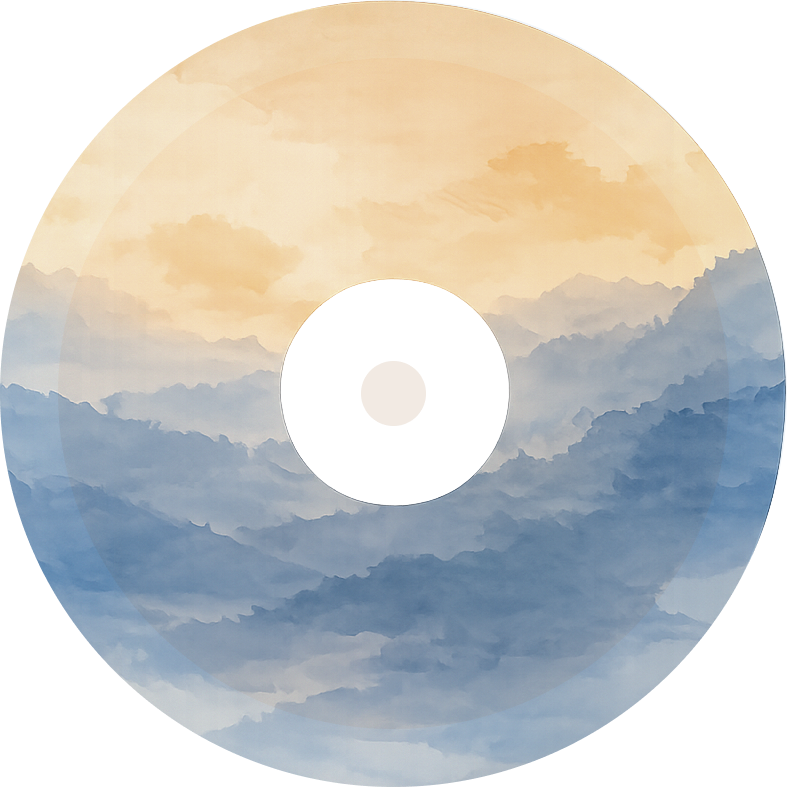 little hum vinyl disc logo